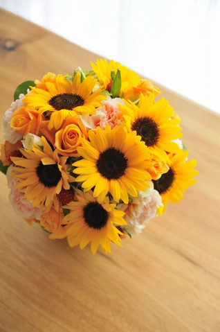 �Ăɂ������߁I�Ђ܂�胉�E���h�u�[�P bq0378[8]