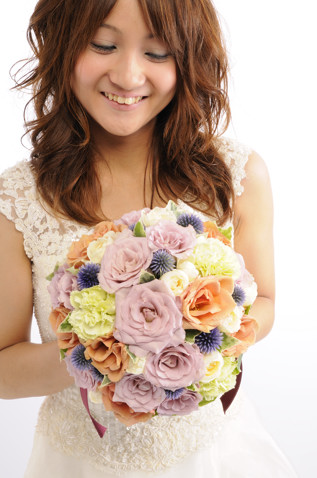 �H�F �o�����E���h�u�[�P bq0395