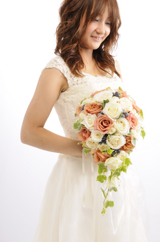 �H�F �I�[�o���u�[�P bq0396