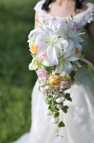 �����̃L���X�P�[�h�u�[�P