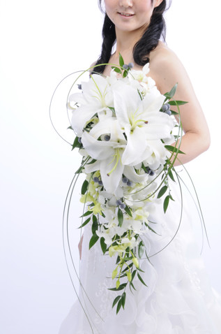 �J�T�u�����Jselection���N�[��