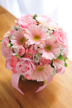 �K�[�x�� �s���N�G�`���C�X���E���h [4]