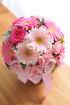 �K�[�x�� �s���N�Z�W �G�`���C�X���E���h�u�[�P[4]