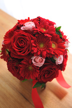 �K�[�x�� �� �G �`���C�X���E���h