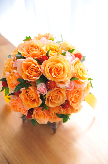 �o�� �I�����W �G �`���C�X���E���h