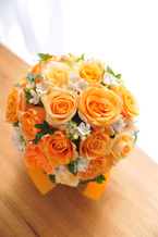 �o�� �I�����W�Z�W ���E���h�u�[�P