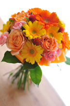 �K�[�x�� �I�����W �N���b�`�u�[�P[4]