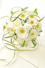 ���܂������E���h ��