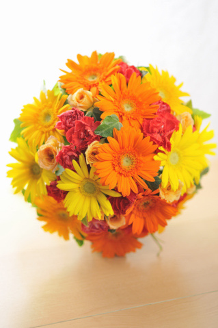 ���܂������E���h �r�^�~���J���[