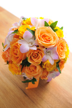 �o���I�����W�G���F�}���F