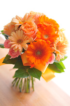 �K�[�x�� �I�����W�Z�W�G�`���C�X�N���b�`[4]