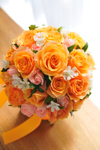 �o�� �I�����W�G�`���C�X���E���h