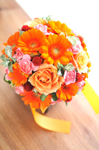 �K�[�x�� �I�����W�G�`���C�X���E���h