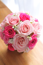 �o�� �s���N�Z�W �G�`���C�X���E���h