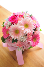 �K�[�x��  �s���N�Z�W�G�`���C�X���E���h