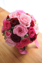 �o�� �s���N�Z�W�G�`���C�X ���E���h