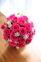 �o�� �Z���s���N+������ �G�`���C�X ���E���h�u�[�P