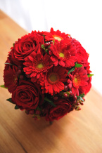 �K�[�x�� �� �G�`���C�X ���E���h