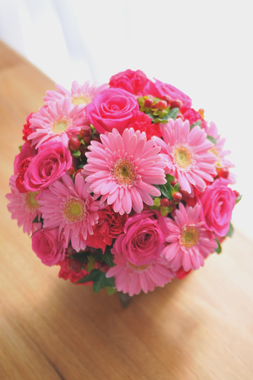 �K�[�x�� �Z���s���N+�q�y���J�� �G �`���C�X���E���h[4]