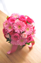 �K�[�x�� �Z���s���N�{�~�j�o�� �G�`���C�X���E���h