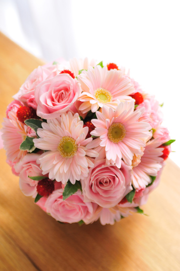 �K�[�x�� �s���N+�ԏ��� �G�`���C�X ���E���h�u�[�P[4]