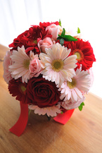 �K�[�x�� �s���N  ���E���h�u�[�P[4]