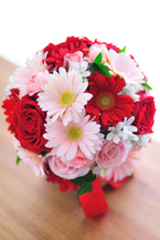 �K�[�x�� �s���N+������ �G�`���C�X ���E���h�u�[�P[4]