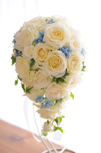 �o�� ��+���F�G�`���C�X �I�[�o��bq0489[1]