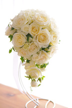 �o�� �� �G�`���C�X �I�[�o���u�[�P