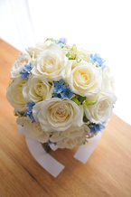 �o�� ��+���F �G�`���C�X ���E���h�u�[�P[1]