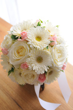 �K�[�x�� ��+�s���N���� �G�`���C�X ���E���h