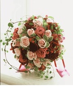 ���E���h co-co-chi �V�b�N