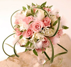 �t�@�[�̃��E���h�u�[�P