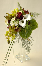 �o���ƃJ���[�̃��E���h�u�[�P