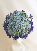 ���E���h12528 [1]