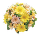 ���E���h�i�K�[�x���T���_�[�\�j�A�j