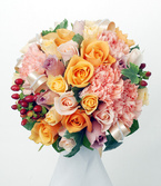 ���E���h27845 [5]