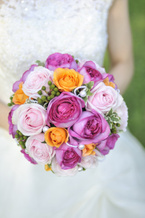 �s���N�o�� ���E���h�u�[�P 237785