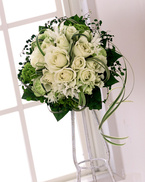 co-co-chi �m�[�u�� 