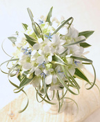 ���E���h94052