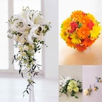 �V���v���v����