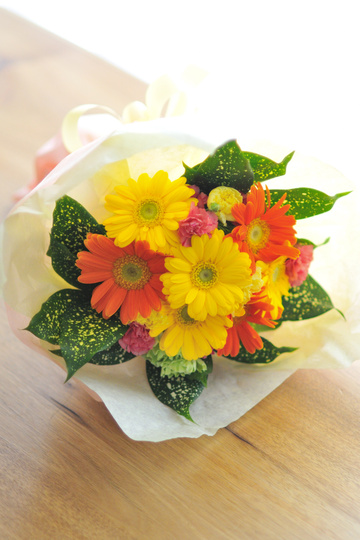 �u�[�P���~�j�ԑ�