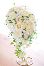 �`���C�X �o���L���X�P�[�h bq0585