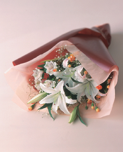 �����e�l�p�ԑ�