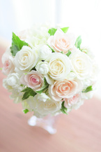 ���o�����E���h�u�[�P261988