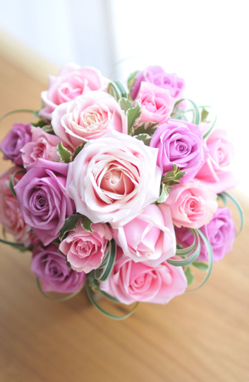 �s���N���E���h�u�[�P263049