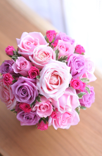 �s���N���E���h�u�[�P263407