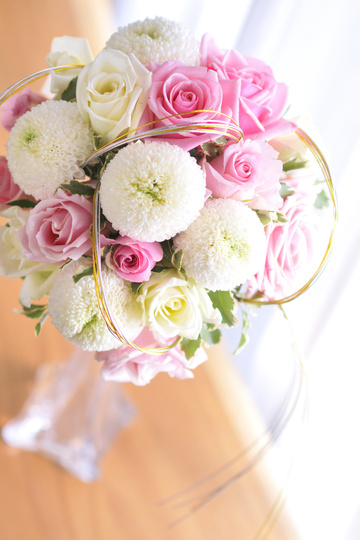 �a���p���E���h�u�[�P263445