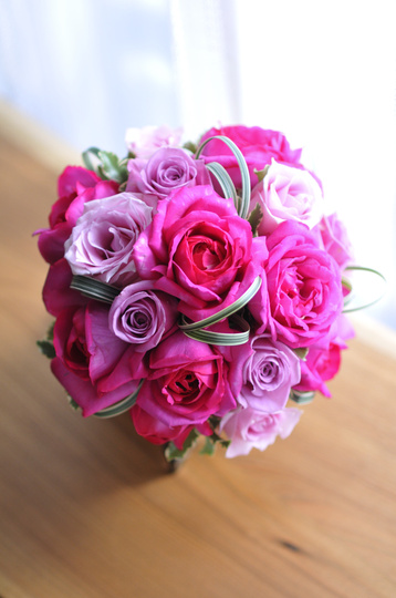 �C�u�E�s�A�W�F ���E���h�u�[�P bq0606