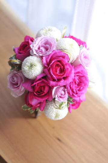 �a�����E���h�u�[�P bq0608